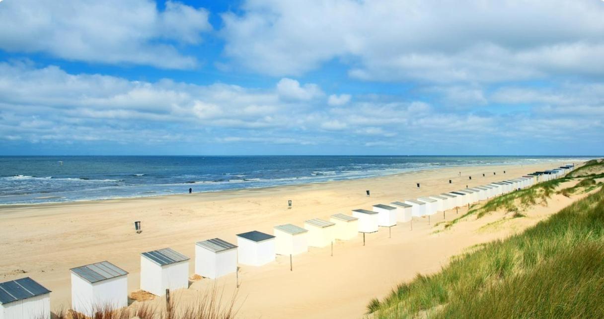 Breezy Beach Chalet Petten Ngoại thất bức ảnh